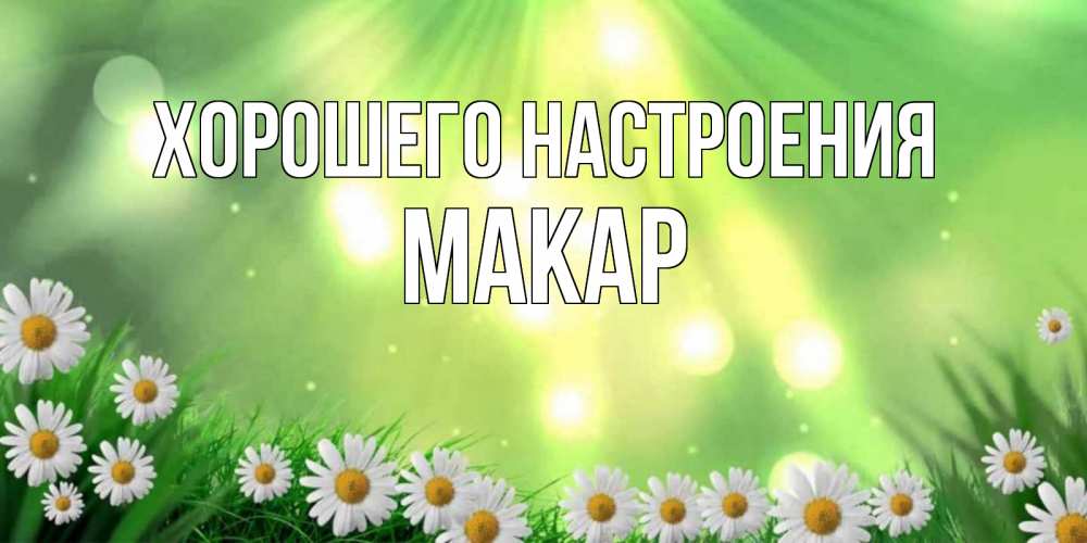 Открытка на каждый день с именем, Макар Хорошего настроения открытка с ромашками и солнечными лучами Прикольная открытка с пожеланием онлайн скачать бесплатно 