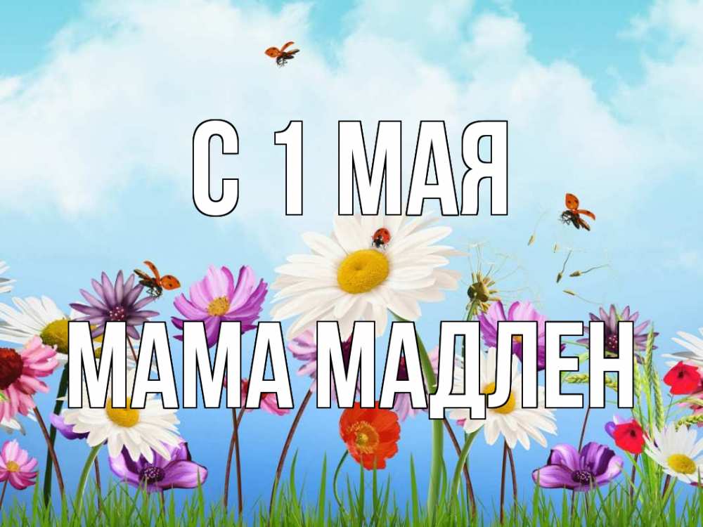 Открытка на каждый день с именем, Мама-Мадлен С 1 мая С 1 мая Прикольная открытка с пожеланием онлайн скачать бесплатно 