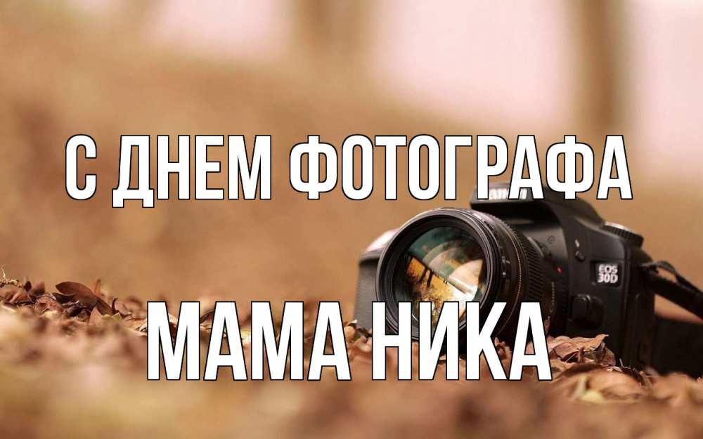 Открытка на каждый день с именем, Мама-Ника С днем фотографа с днем фотографа Прикольная открытка с пожеланием онлайн скачать бесплатно 