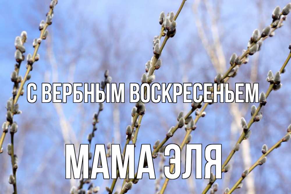 Открытка на каждый день с именем, Мама-Эля С вербным воскресеньем верба Прикольная открытка с пожеланием онлайн скачать бесплатно 