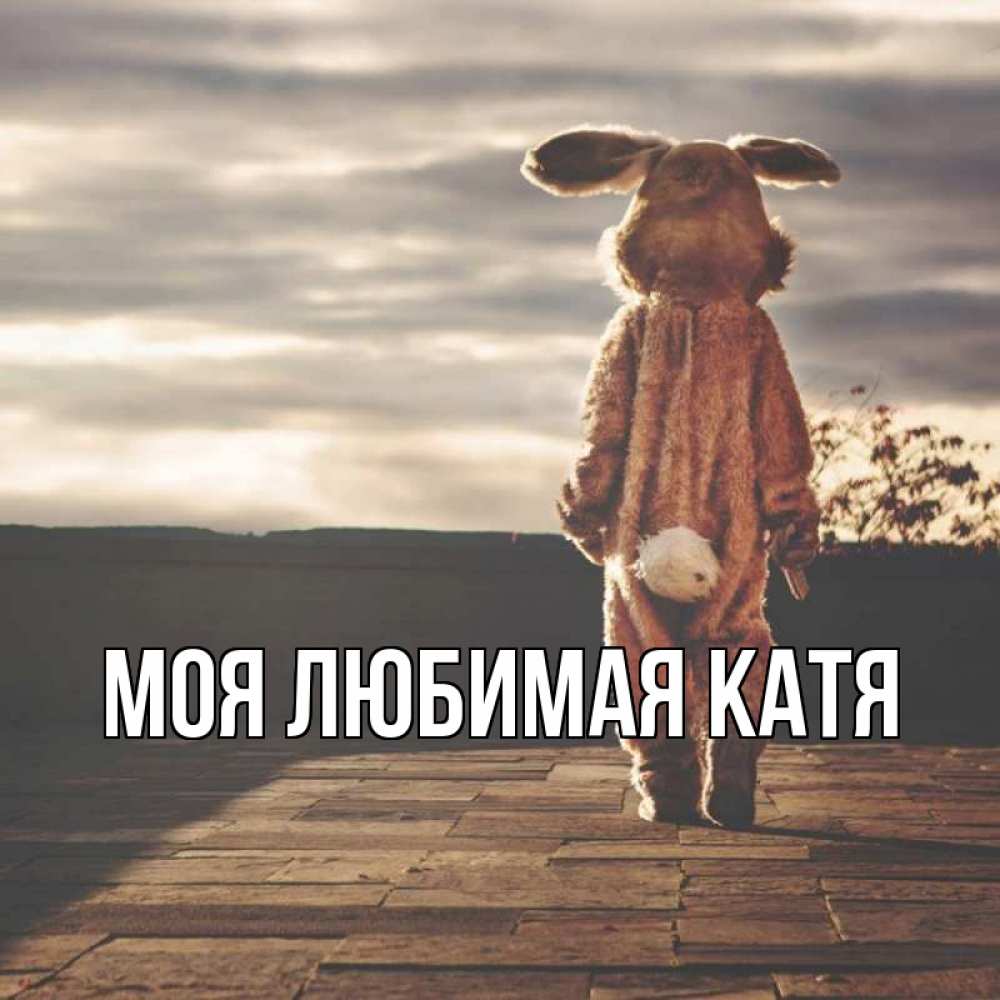 Открытка на каждый день с именем, Моя-любимая-Катя Главная даже в костюме зайца Прикольная открытка с пожеланием онлайн скачать бесплатно 