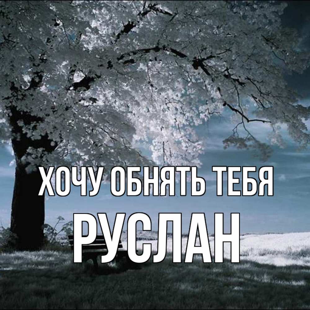 Открытка на каждый день с именем, Руслан Хочу обнять тебя дерево Прикольная открытка с пожеланием онлайн скачать бесплатно 