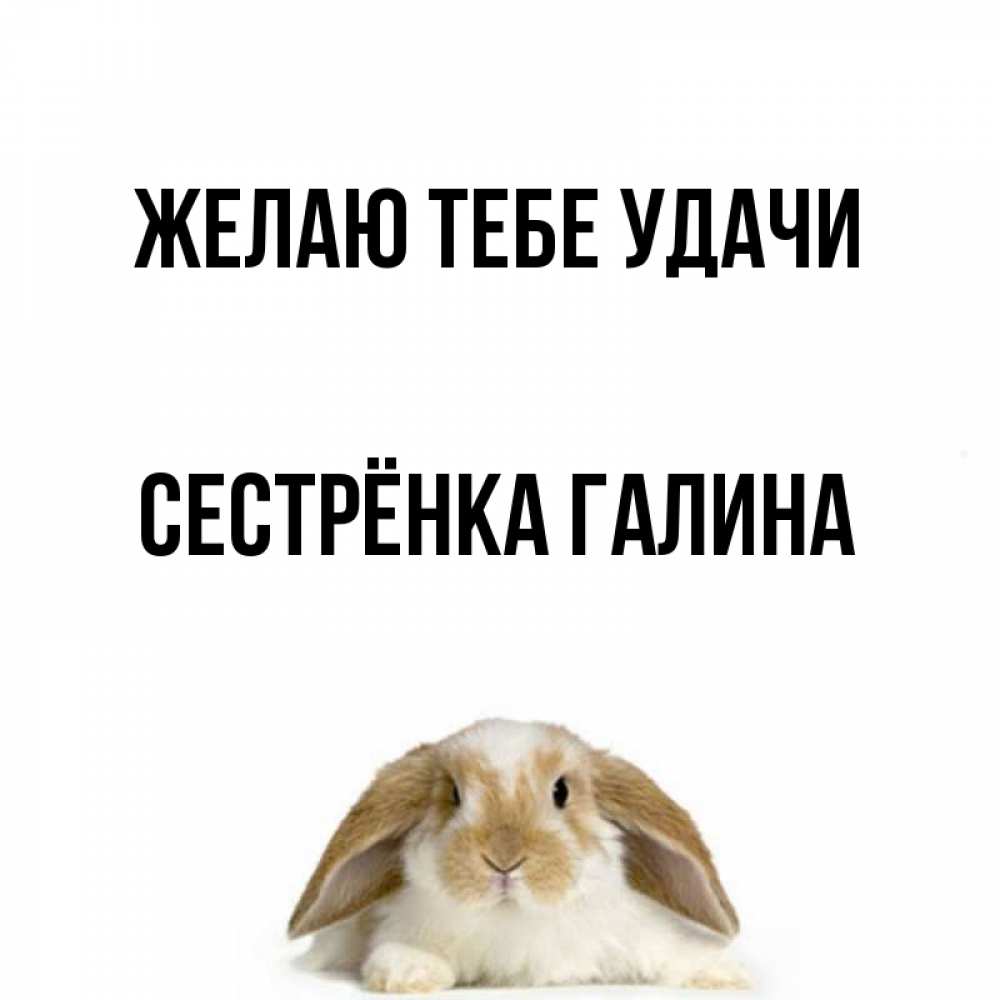Открытка на каждый день с именем, Сестрёнка-Галина Желаю тебе удачи открытки с произвольным текстом который можно вставить в открытку и создать ее самостоятельно бесплатно онлайн Прикольная открытка с пожеланием онлайн скачать бесплатно 