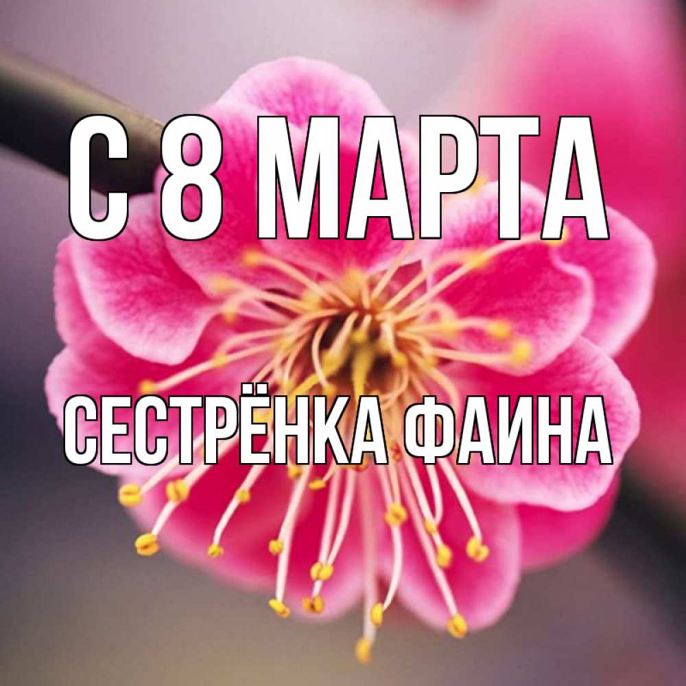 Открытка на каждый день с именем, Сестрёнка-Фаина С 8 МАРТА цветы Прикольная открытка с пожеланием онлайн скачать бесплатно 