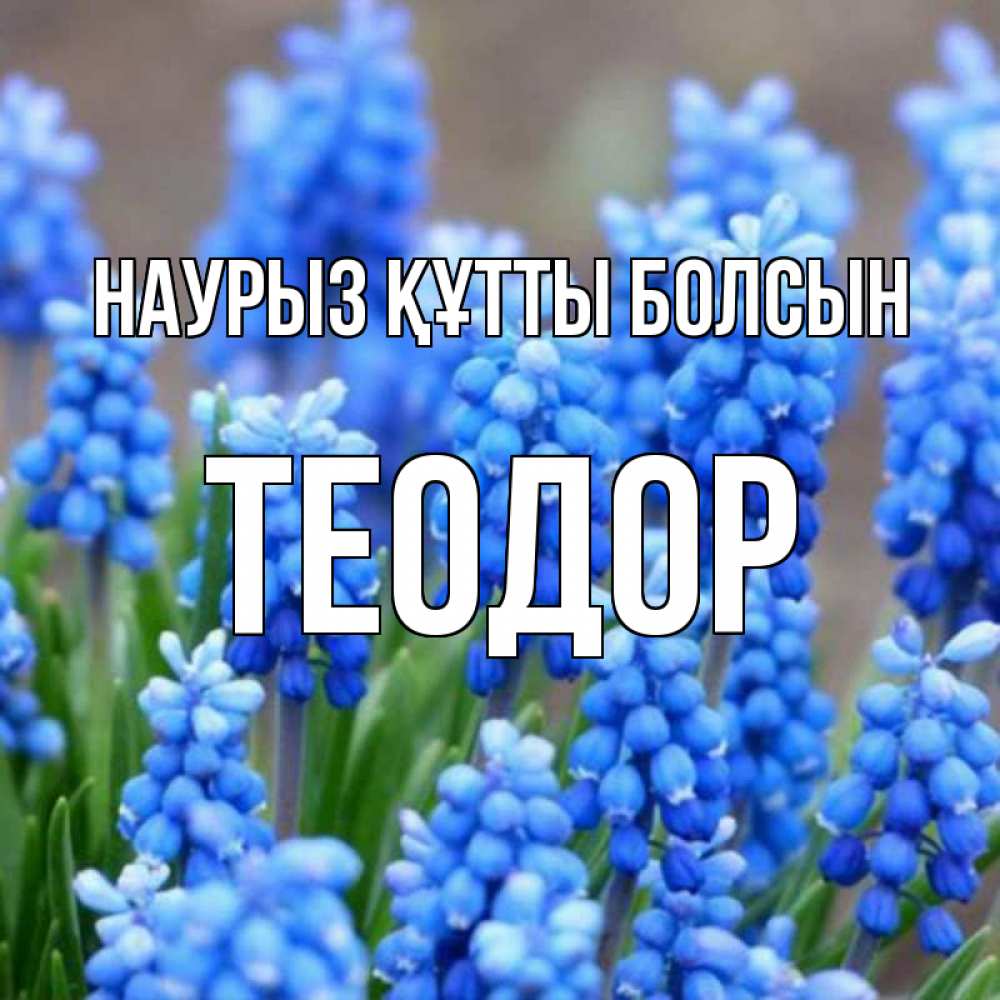 Открытка на каждый день с именем, Теодор Наурыз құтты болсын Поздравительная открытка для женщин с цветами на праздничную дату Прикольная открытка с пожеланием онлайн скачать бесплатно 