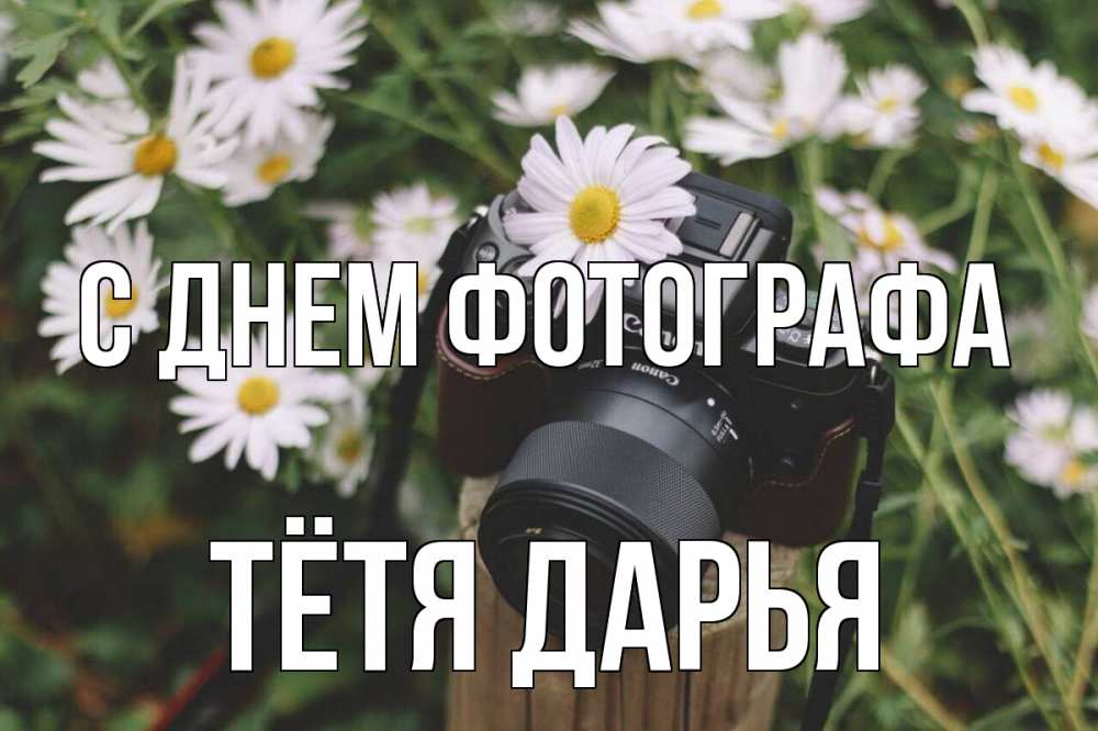 Открытка на каждый день с именем, Тётя-Дарья С днем фотографа с днем фотографа Прикольная открытка с пожеланием онлайн скачать бесплатно 