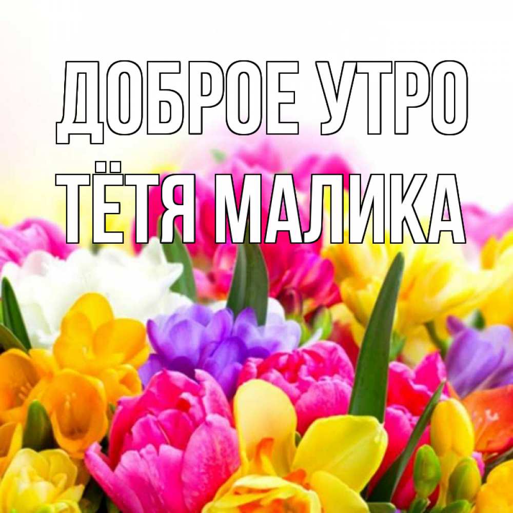 Открытка на каждый день с именем, Тётя-Малика Доброе утро создать открытку со свое подписью Прикольная открытка с пожеланием онлайн скачать бесплатно 