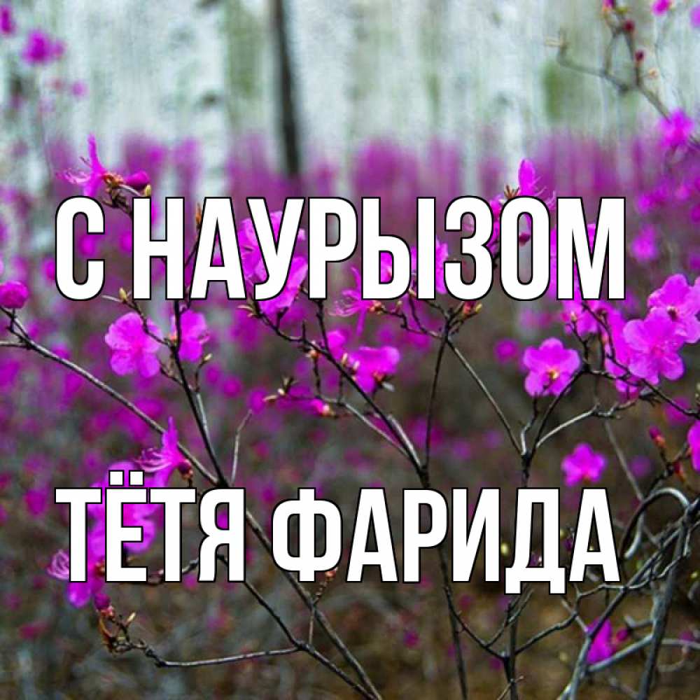 Открытка на каждый день с именем, Тётя-Фарида С наурызом дикие цветы Прикольная открытка с пожеланием онлайн скачать бесплатно 