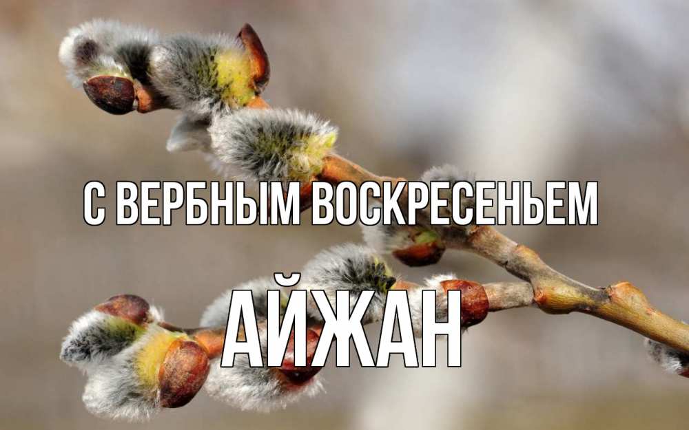 Открытка на каждый день с именем, Айжан С вербным воскресеньем Верба Прикольная открытка с пожеланием онлайн скачать бесплатно 