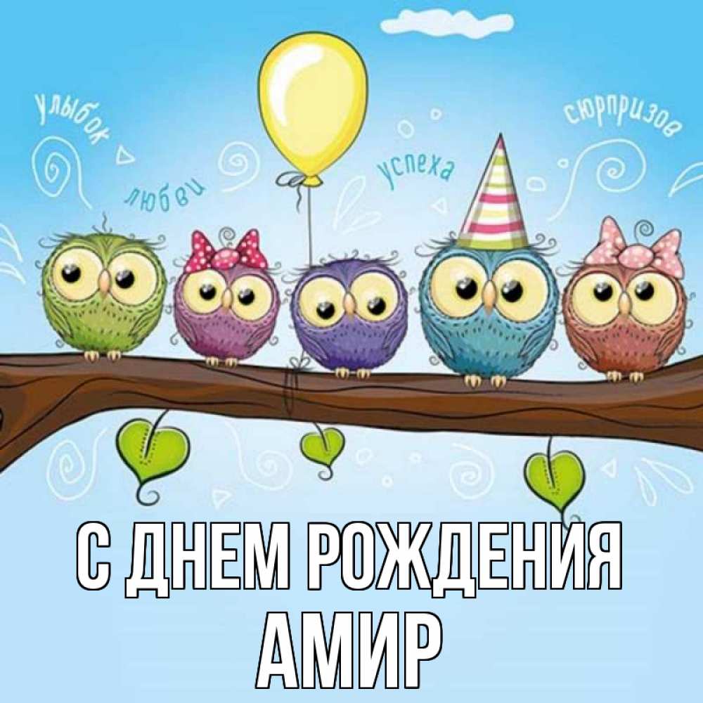 Открытка на каждый день с именем, Амир С днем рождения совы Прикольная открытка с пожеланием онлайн скачать бесплатно 