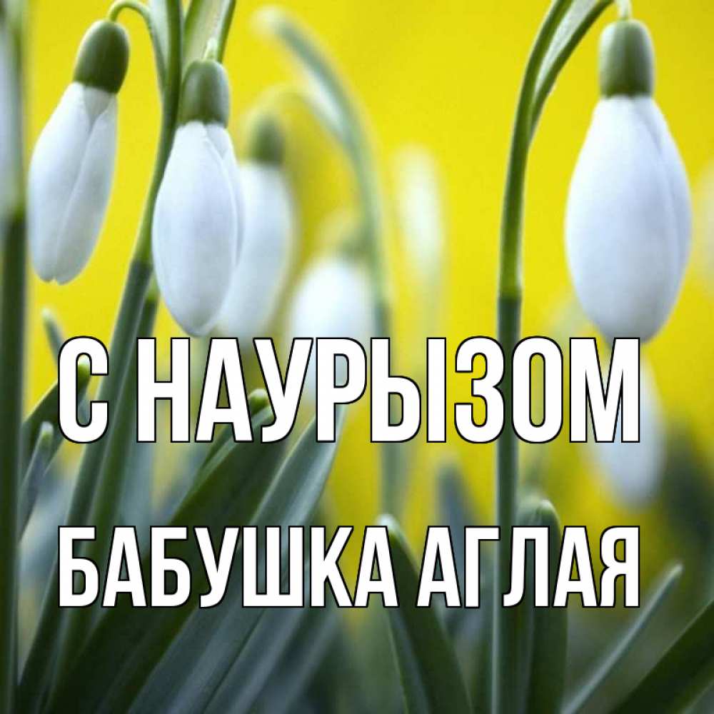 Открытка на каждый день с именем, Бабушка-Аглая С наурызом весенние цветы Прикольная открытка с пожеланием онлайн скачать бесплатно 