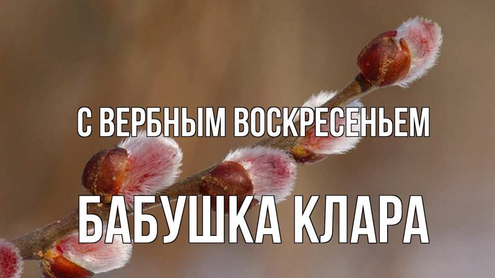 Открытка на каждый день с именем, Бабушка-Клара С вербным воскресеньем верба Прикольная открытка с пожеланием онлайн скачать бесплатно 