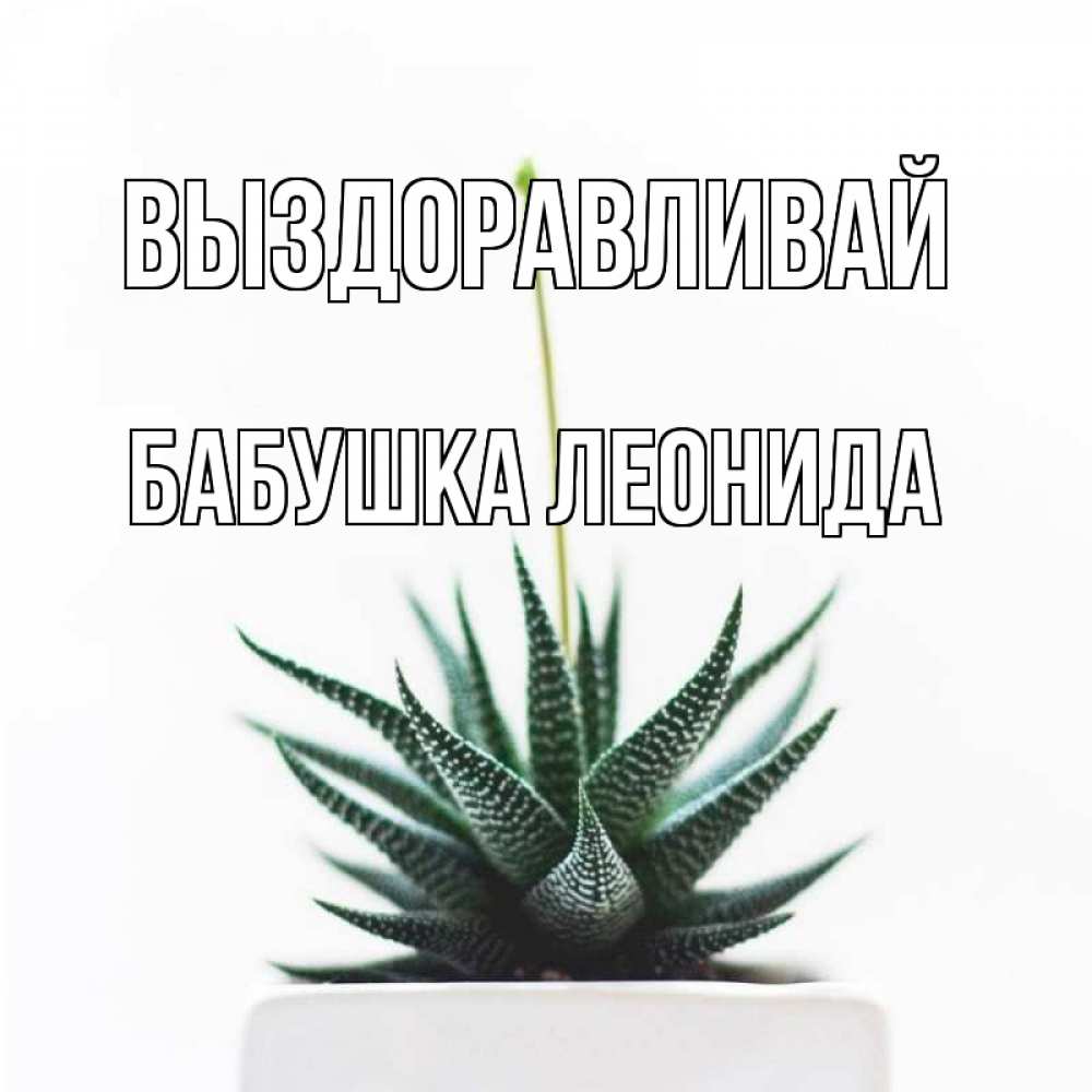 Открытка на каждый день с именем, Бабушка-Леонида Выздоравливай короче это непонятная колючка Прикольная открытка с пожеланием онлайн скачать бесплатно 