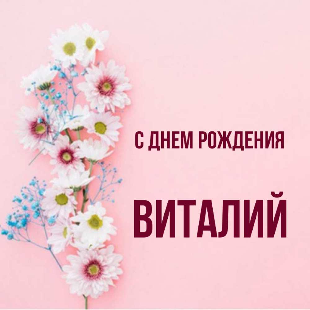 Открытка на каждый день с именем, Виталий С днем рождения Родная моя с днем рождения тебя картинка с цветами белыми и голубыми Прикольная открытка с пожеланием онлайн скачать бесплатно 