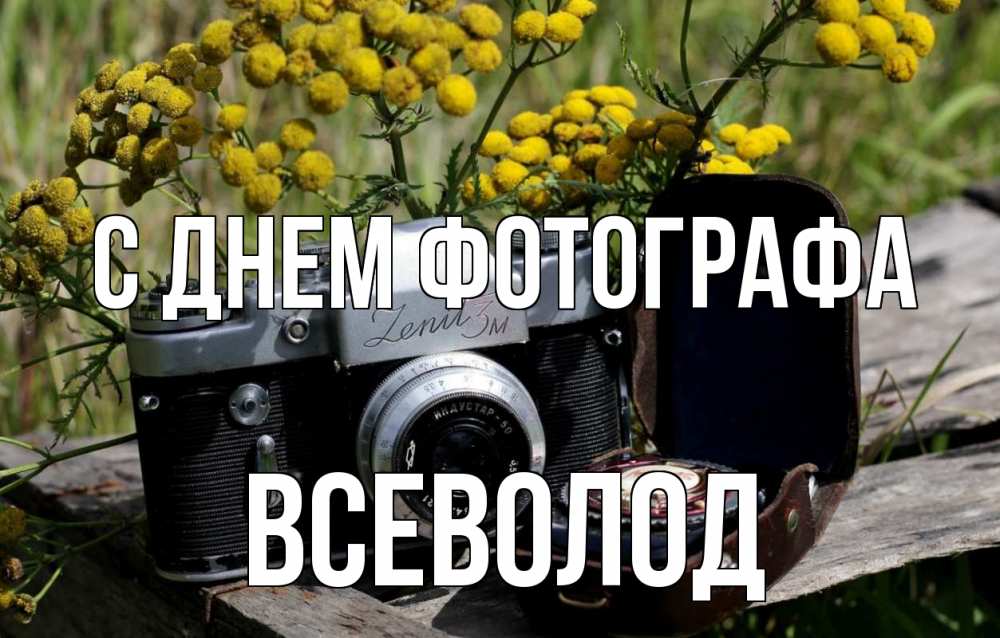 Открытка на каждый день с именем, Всеволод С днем фотографа с днем фотографа Прикольная открытка с пожеланием онлайн скачать бесплатно 