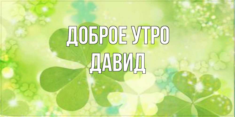 Открытка на каждый день с именем, Давид Доброе утро открытка с листьями летними зелеными Прикольная открытка с пожеланием онлайн скачать бесплатно 
