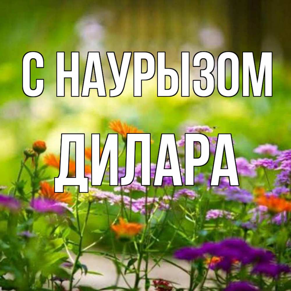 Открытка на каждый день с именем, Дилара С наурызом цветы Прикольная открытка с пожеланием онлайн скачать бесплатно 