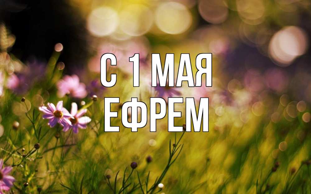 Открытка на каждый день с именем, Ефрем С 1 мая С 1 мая Прикольная открытка с пожеланием онлайн скачать бесплатно 