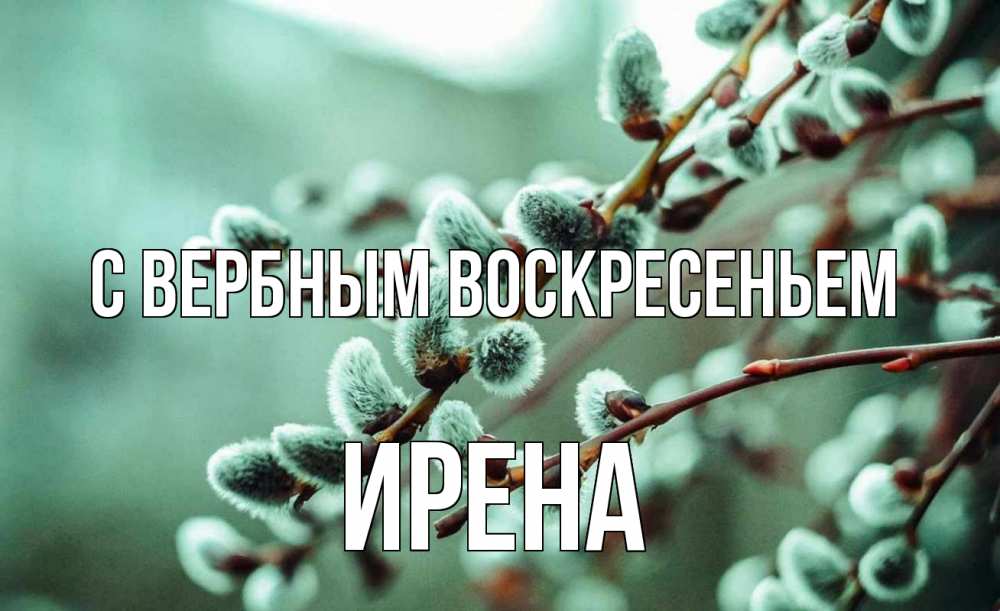 Открытка на каждый день с именем, Ирена С вербным воскресеньем верба Прикольная открытка с пожеланием онлайн скачать бесплатно 