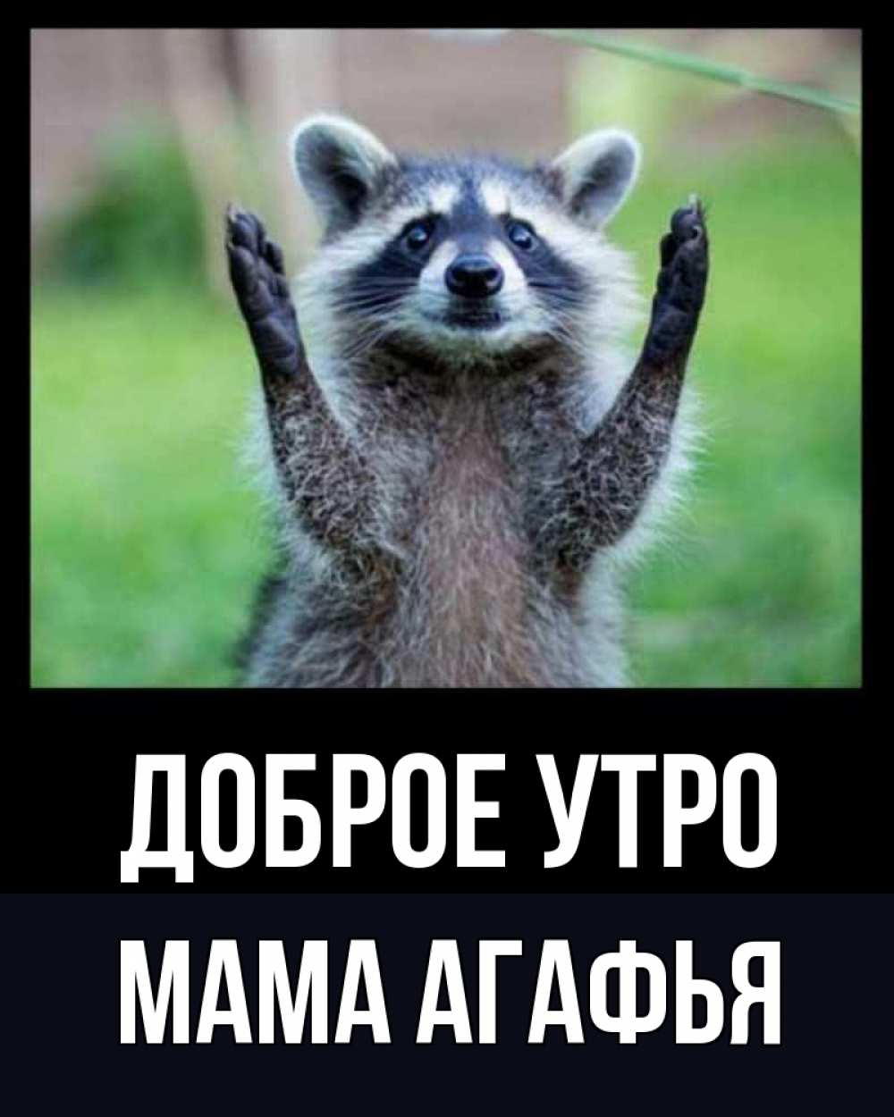 Открытка на каждый день с именем, Мама-Агафья Доброе утро хорошее настроение утречком Прикольная открытка с пожеланием онлайн скачать бесплатно 