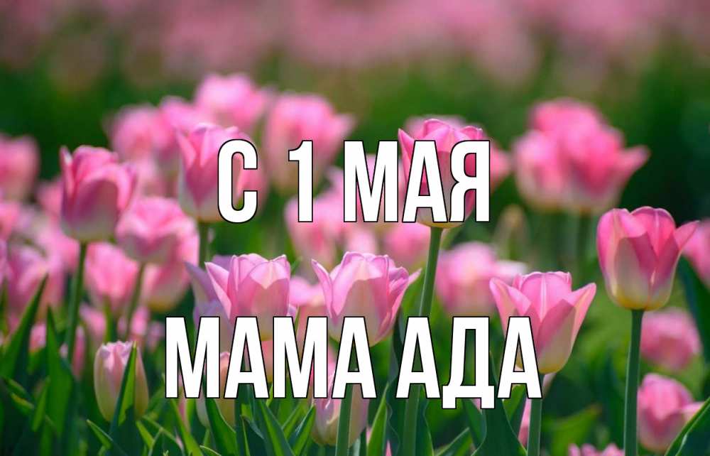 Открытка на каждый день с именем, Мама-Ада С 1 мая С 1 мая Прикольная открытка с пожеланием онлайн скачать бесплатно 