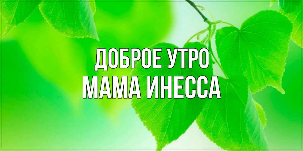 Открытка на каждый день с именем, Мама-Инесса Доброе утро доброе утро с березовыми листьями Прикольная открытка с пожеланием онлайн скачать бесплатно 