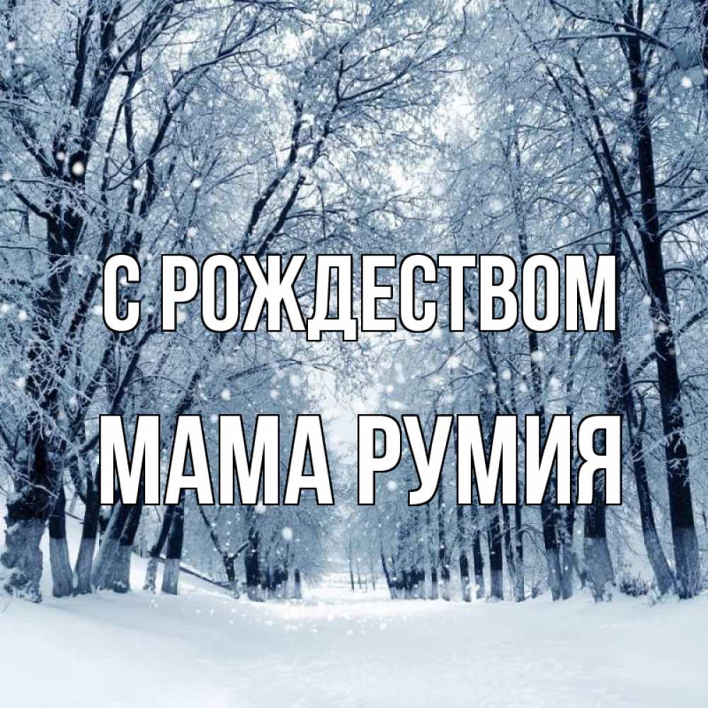 Открытка на каждый день с именем, Мама-Румия С рождеством снег, лес, парк Прикольная открытка с пожеланием онлайн скачать бесплатно 