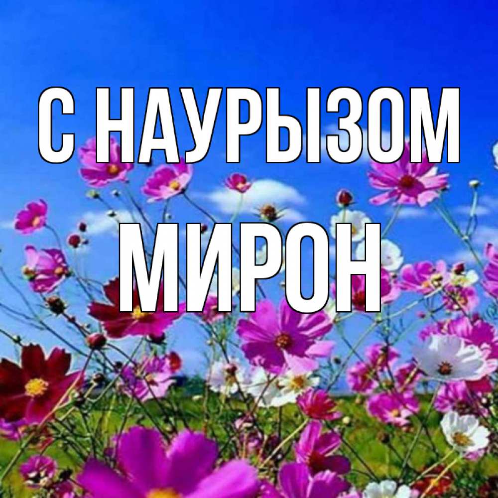 Открытка на каждый день с именем, Мирон С наурызом цветы Прикольная открытка с пожеланием онлайн скачать бесплатно 