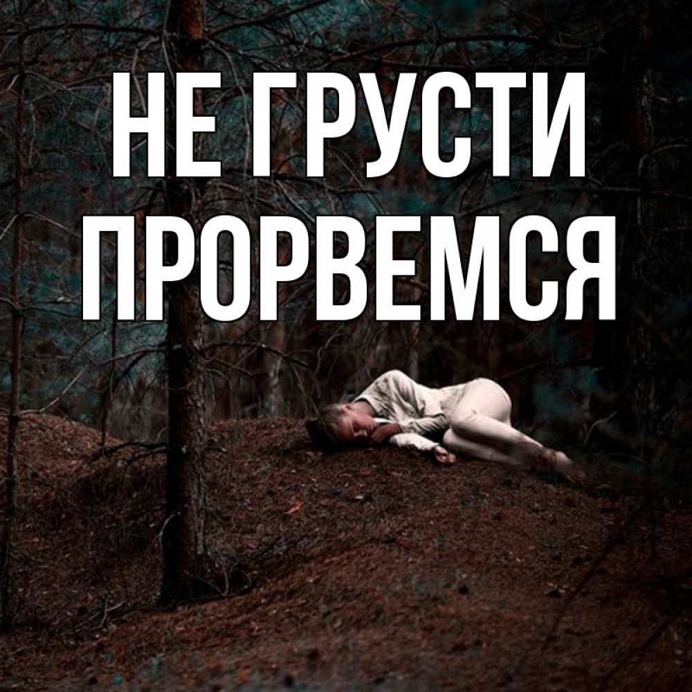 Открытка на каждый день с именем, Прорвемся Не грусти лес Прикольная открытка с пожеланием онлайн скачать бесплатно 