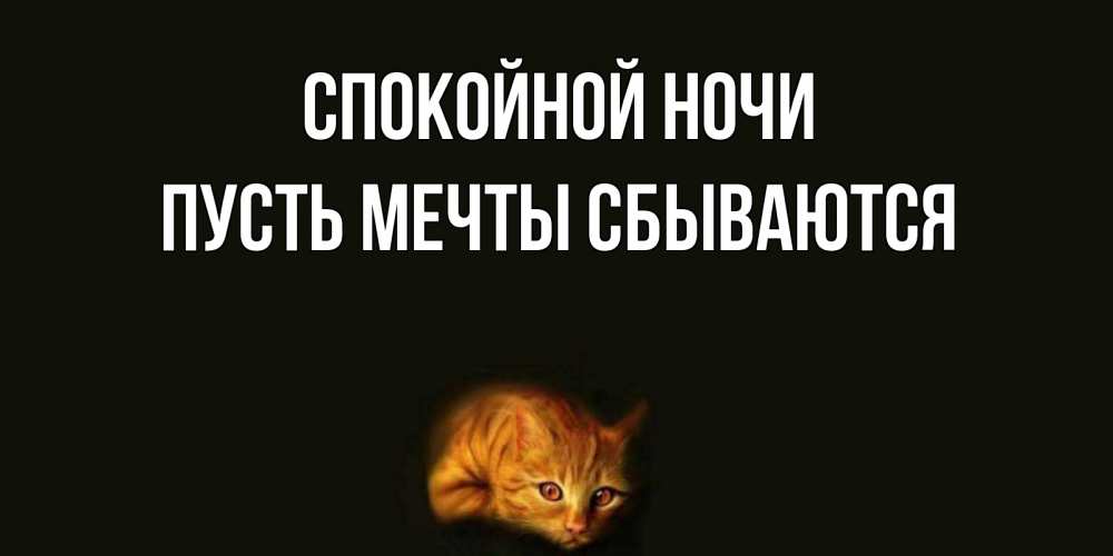Открытка на каждый день с именем, Пусть-мечты-сбываются Спокойной ночи кот Прикольная открытка с пожеланием онлайн скачать бесплатно 