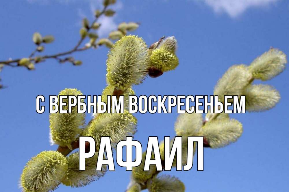 Открытка на каждый день с именем, Рафаил С вербным воскресеньем верба Прикольная открытка с пожеланием онлайн скачать бесплатно 