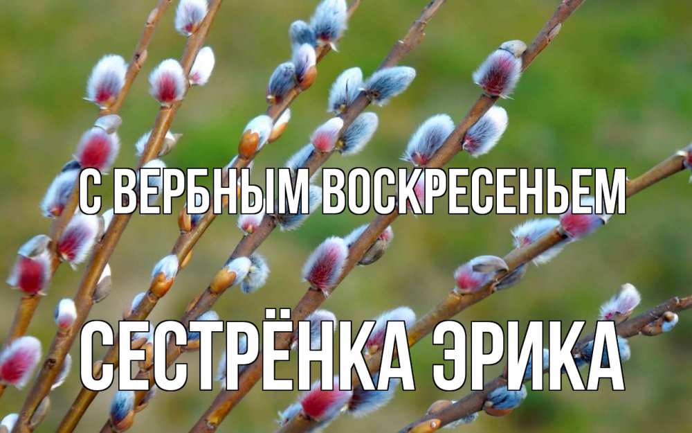 Открытка на каждый день с именем, Сестрёнка-Эрика С вербным воскресеньем верба Прикольная открытка с пожеланием онлайн скачать бесплатно 