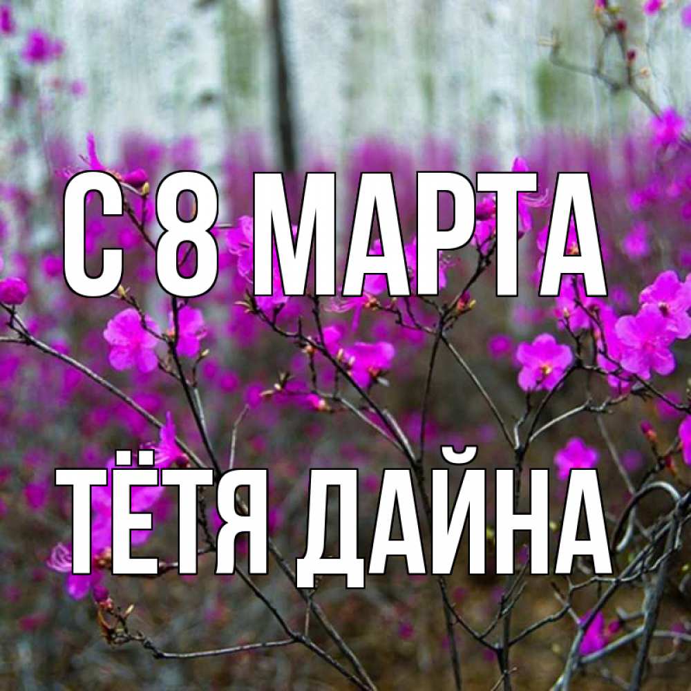 Открытка на каждый день с именем, Тётя-Дайна С 8 МАРТА дикие цветы Прикольная открытка с пожеланием онлайн скачать бесплатно 
