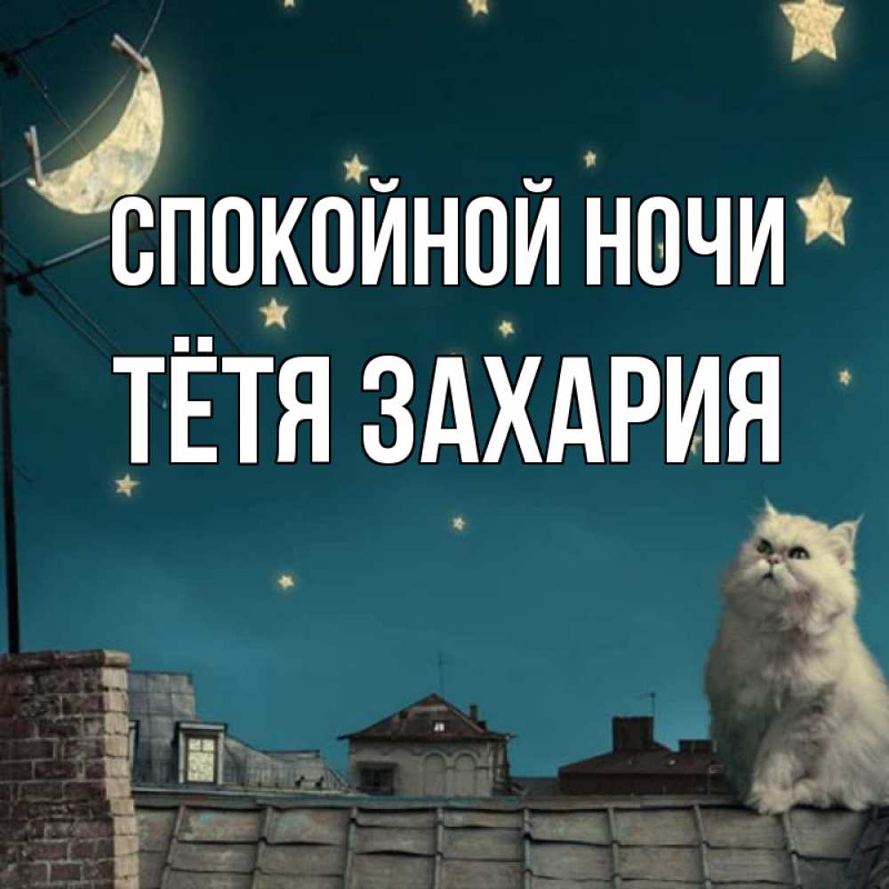 Открытка на каждый день с именем, Тётя-Захария Спокойной ночи белый кот сидит на крыше Прикольная открытка с пожеланием онлайн скачать бесплатно 