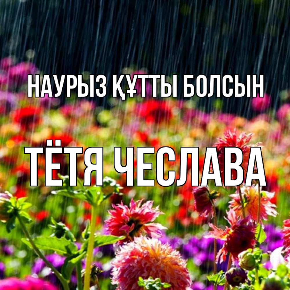 Открытка на каждый день с именем, Тётя-Чеслава Наурыз құтты болсын цветы под дождиком к наурызу Прикольная открытка с пожеланием онлайн скачать бесплатно 