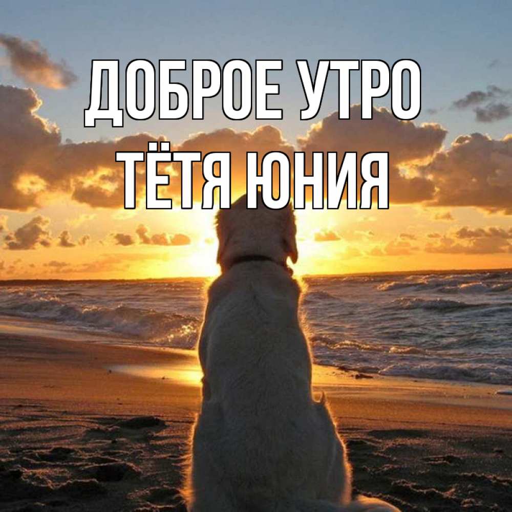 Открытка на каждый день с именем, Тётя-Юния Доброе утро восход солнца Прикольная открытка с пожеланием онлайн скачать бесплатно 