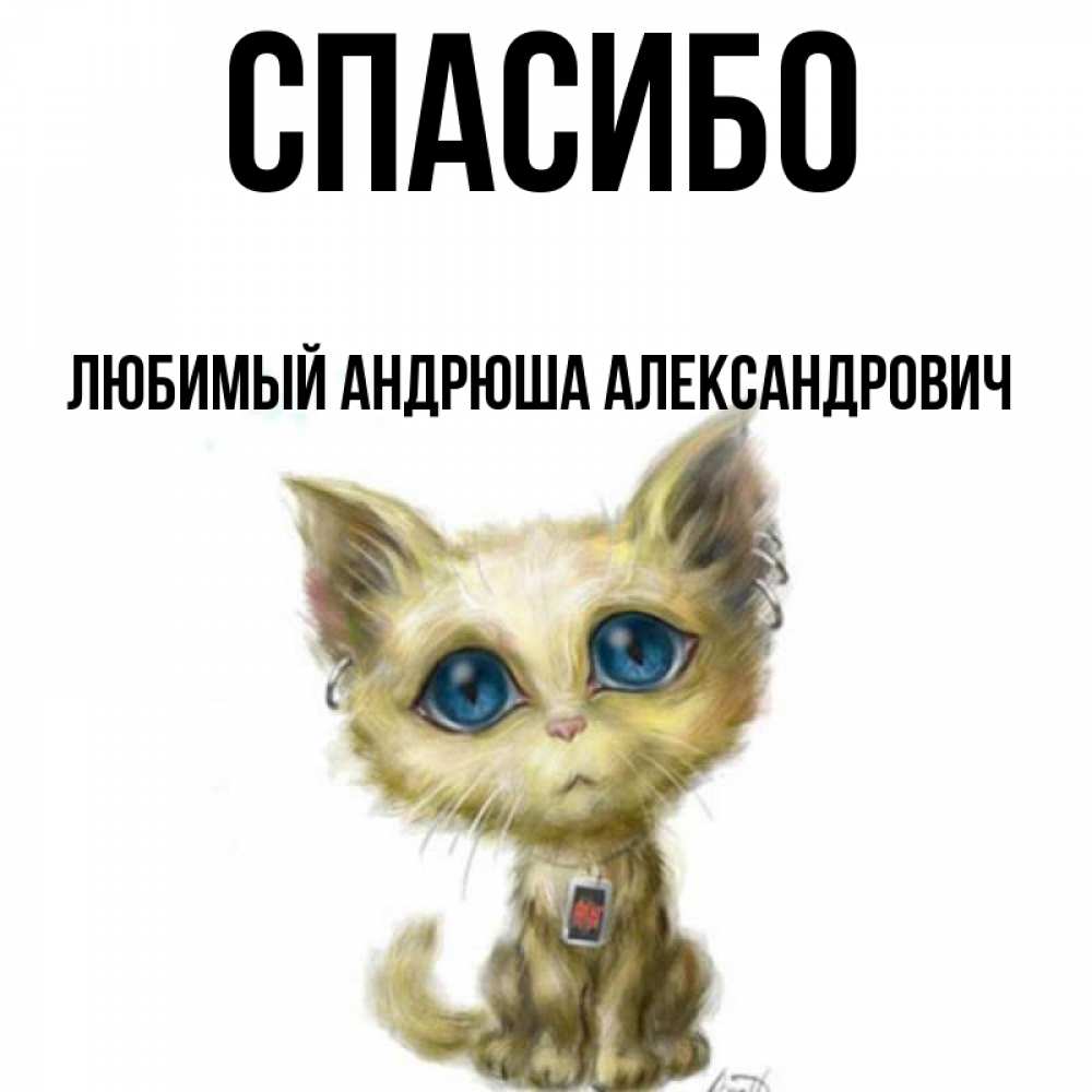 Андрюша любимый картинки