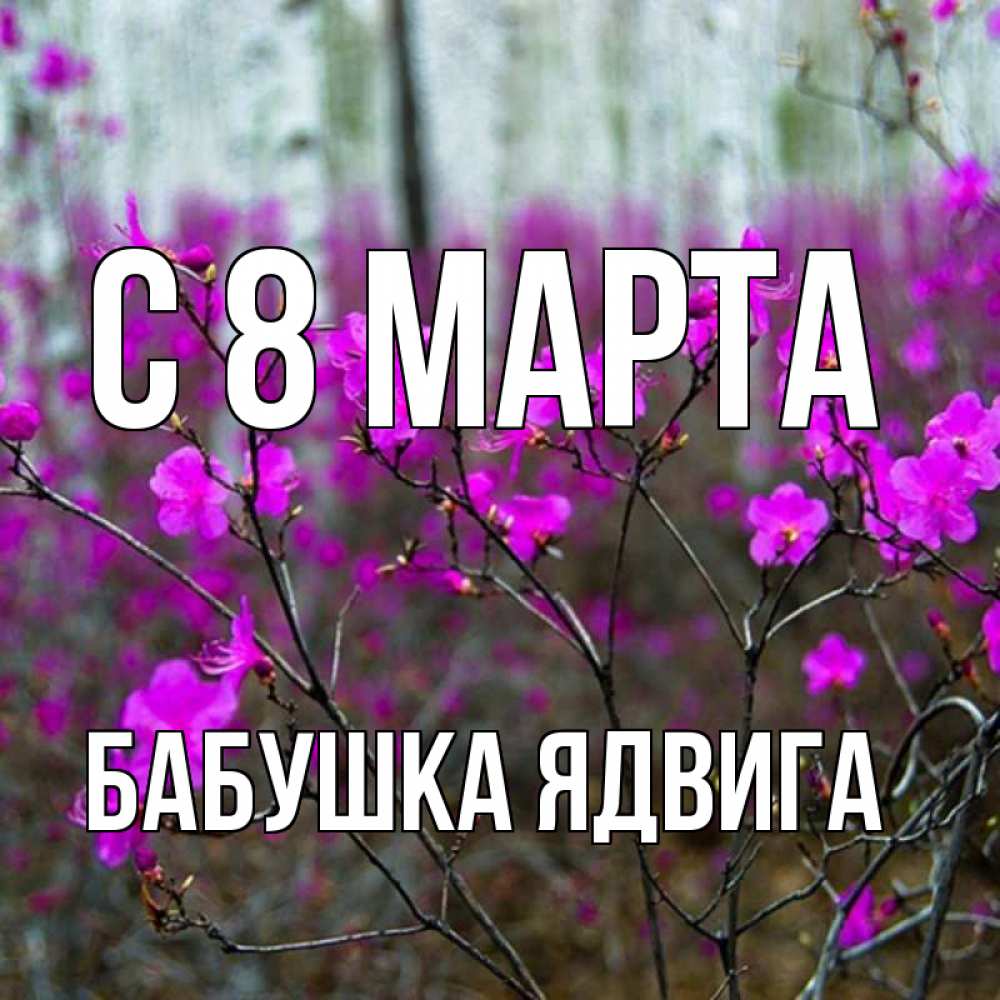 Открытка на каждый день с именем, Бабушка-Ядвига С 8 МАРТА дикие цветы Прикольная открытка с пожеланием онлайн скачать бесплатно 