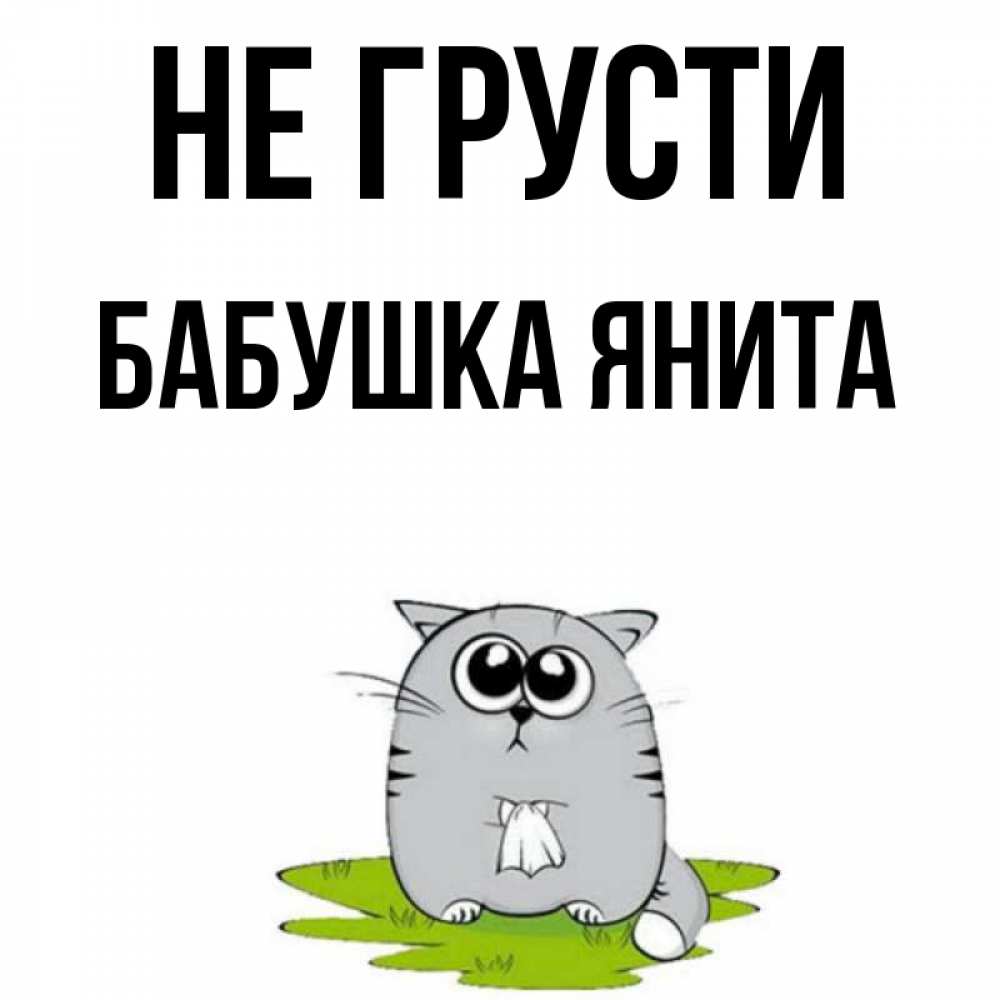 Открытка на каждый день с именем, Бабушка-Янита Не грусти грустный котяра Прикольная открытка с пожеланием онлайн скачать бесплатно 