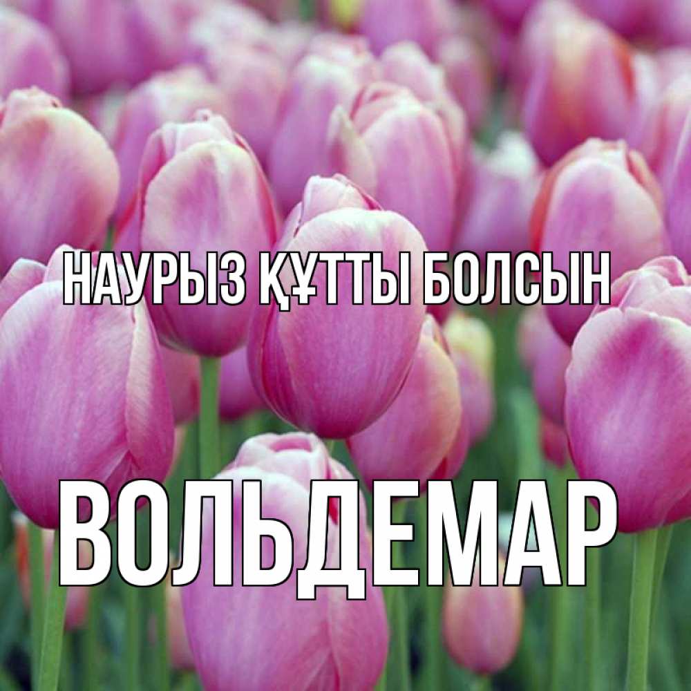 Открытка на каждый день с именем, Вольдемар Наурыз құтты болсын на наурыз  день 3 Прикольная открытка с пожеланием онлайн скачать бесплатно 