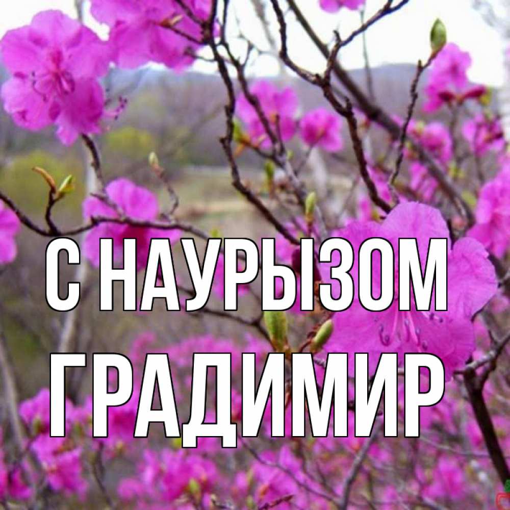 Открытка на каждый день с именем, Градимир С наурызом праздник весны наурыз Прикольная открытка с пожеланием онлайн скачать бесплатно 