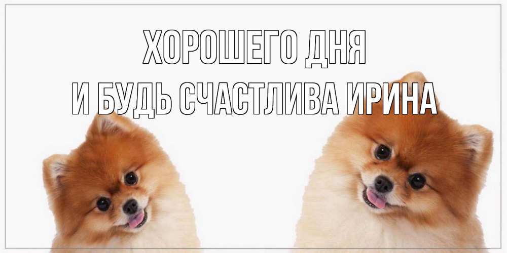 Открытка на каждый день с именем, И-будь-счастлива-Ирина Хорошего дня собачки желают прекрасного дня Прикольная открытка с пожеланием онлайн скачать бесплатно 