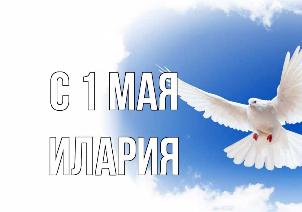 Открытка на каждый день с именем, Илария С 1 мая С 1 мая Прикольная открытка с пожеланием онлайн скачать бесплатно 