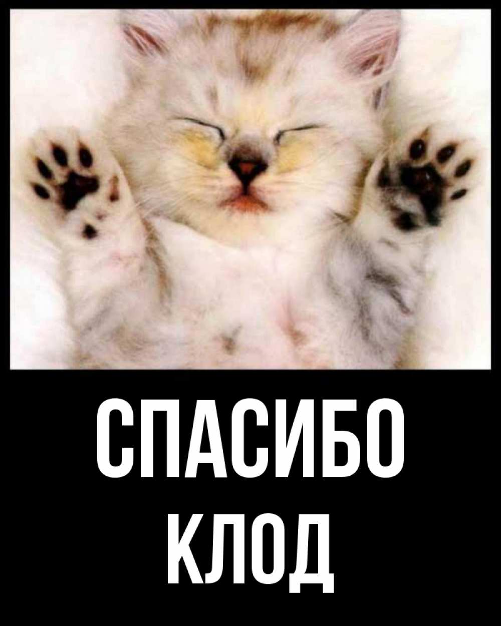Открытка на каждый день с именем, Клод Спасибо маленький котенок Прикольная открытка с пожеланием онлайн скачать бесплатно 