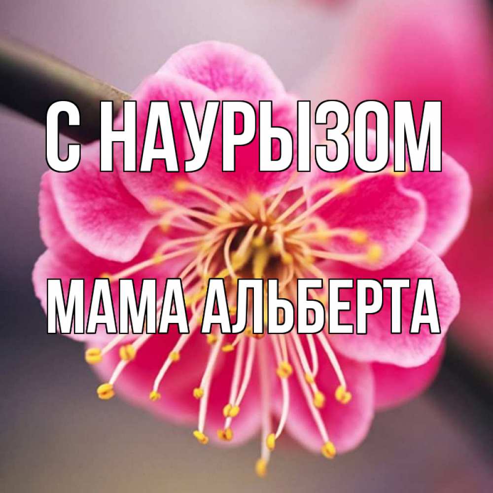 Открытка на каждый день с именем, Мама-Альберта С наурызом цветы Прикольная открытка с пожеланием онлайн скачать бесплатно 