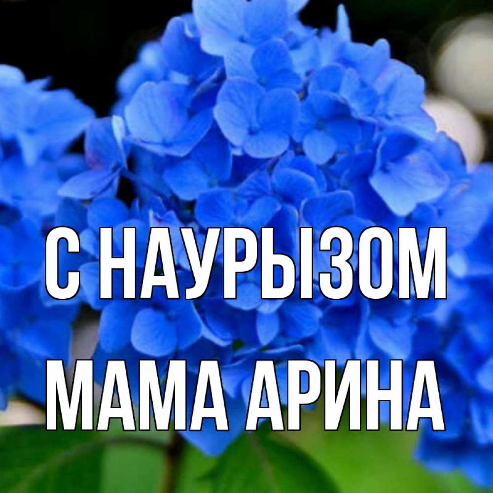 Открытка на каждый день с именем, Мама-Арина С наурызом синие цветы Прикольная открытка с пожеланием онлайн скачать бесплатно 