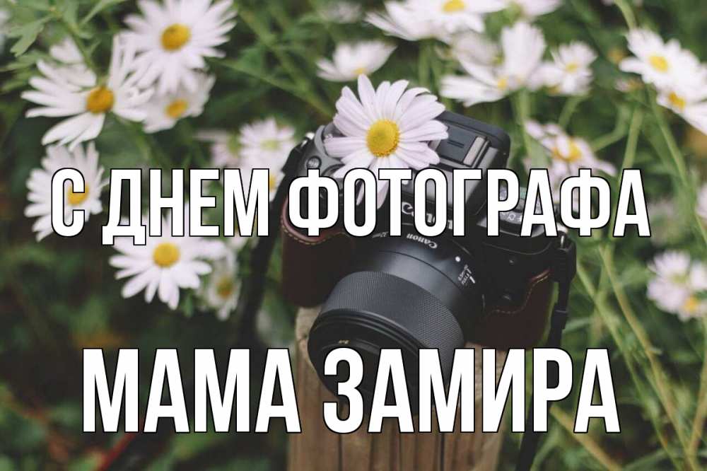 Открытка на каждый день с именем, Мама-Замира С днем фотографа с днем фотографа Прикольная открытка с пожеланием онлайн скачать бесплатно 
