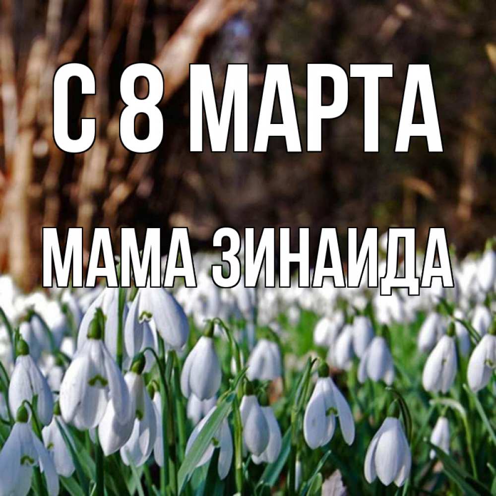 Открытка на каждый день с именем, Мама-Зинаида С 8 МАРТА с подснежниками 1 Прикольная открытка с пожеланием онлайн скачать бесплатно 