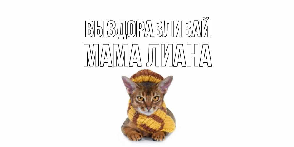 Открытка на каждый день с именем, Мама-Лиана Выздоравливай родные не болейте Прикольная открытка с пожеланием онлайн скачать бесплатно 