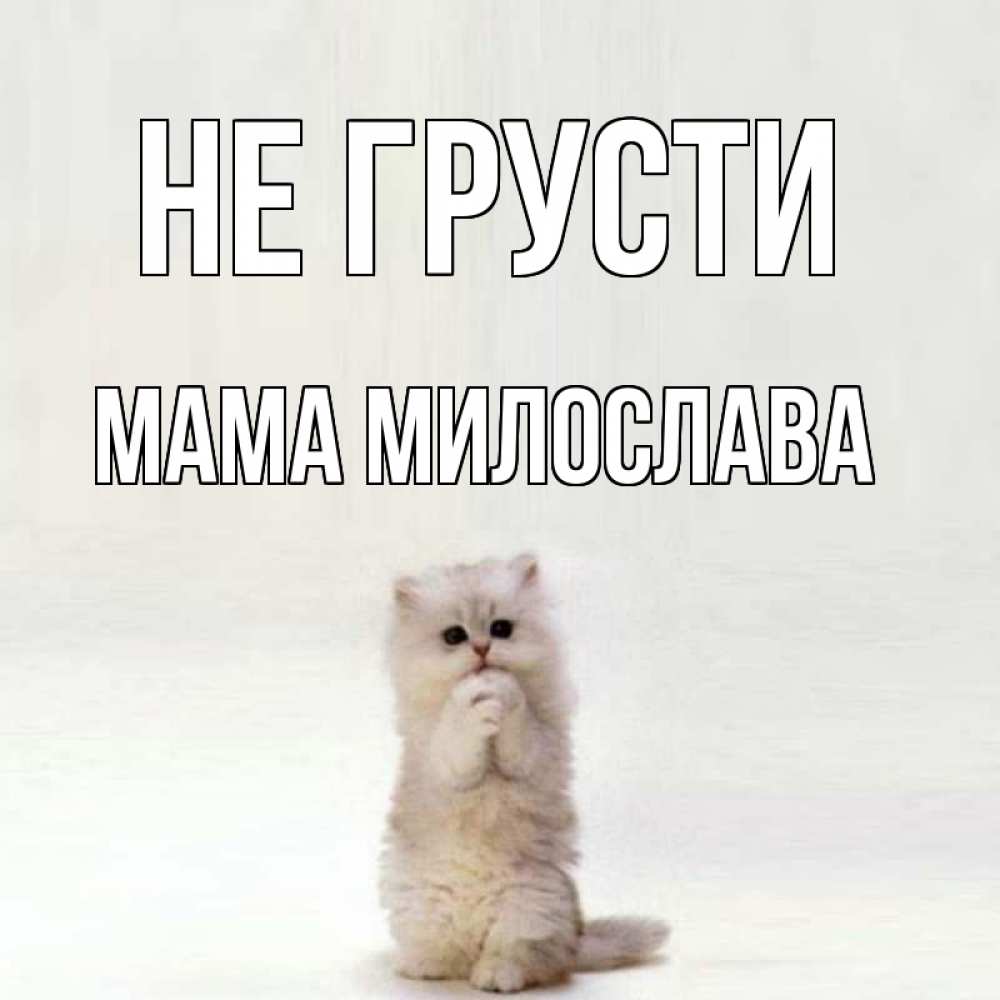 Открытка на каждый день с именем, Мама-Милослава Не грусти грустный кот Прикольная открытка с пожеланием онлайн скачать бесплатно 